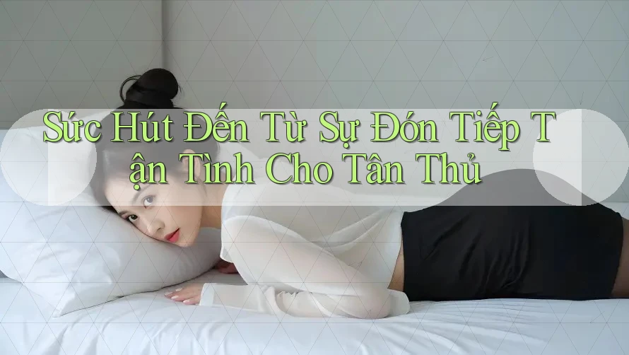 Sức Hút Đến Từ Sự Đón Tiếp Tận Tình Cho Tân Thủ Sức Hút Đến Từ Sự Đón Tiếp Tận Tình Cho Tân Thủ