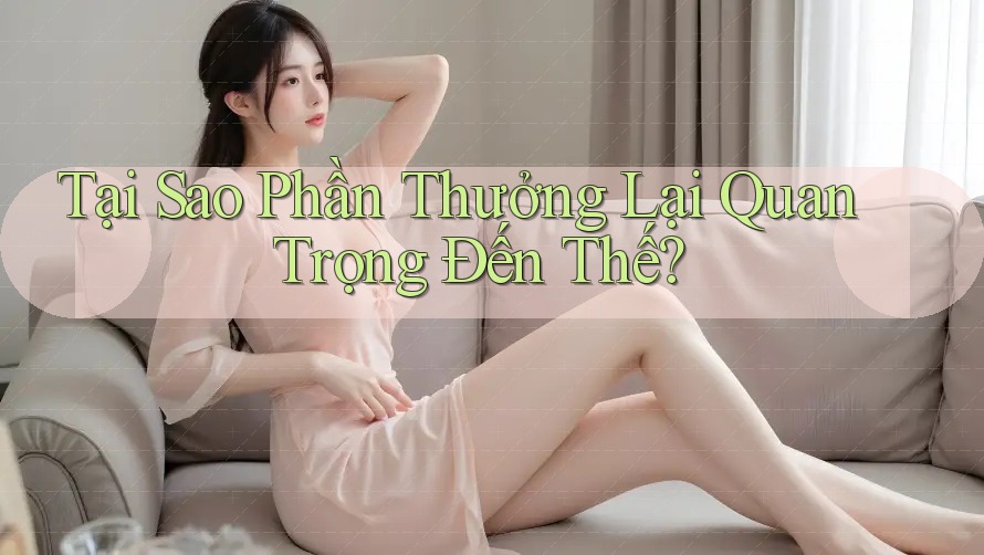 Tại Sao Phần Thưởng Lại Quan Trọng Đến Thế? Tại Sao Phần Thưởng Lại Quan Trọng Đến Thế?